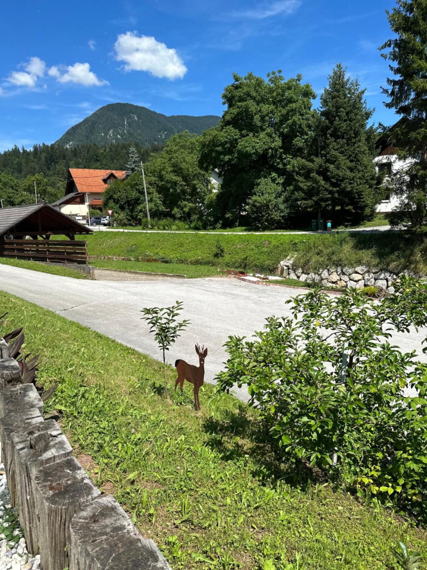 Hisa Sreco Begunje na Gorenjskem Exterior foto